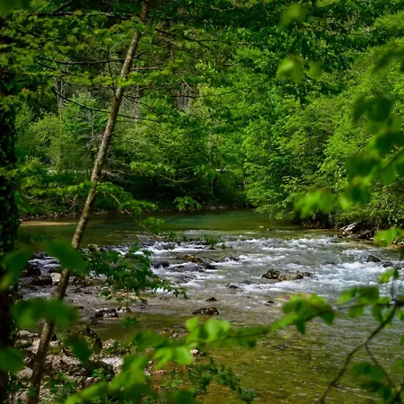 Makov Hrib By Interhome Trsce