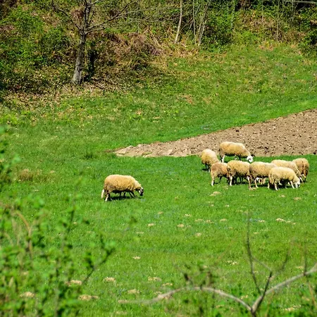 Domek alpejski Makov Hrib By Interhome *