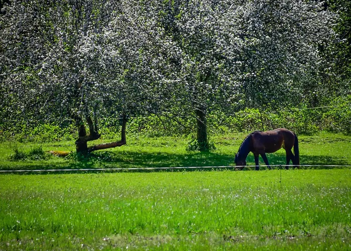 Makov Hrib By Interhome Trsce