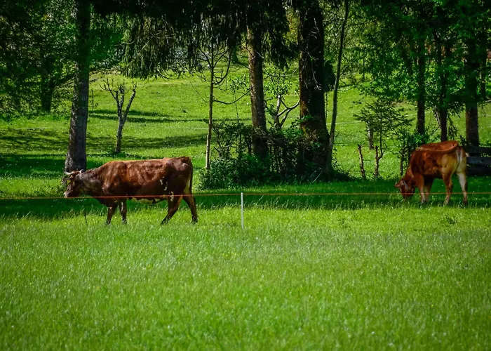 Makov Hrib By Interhome Alpstuga *