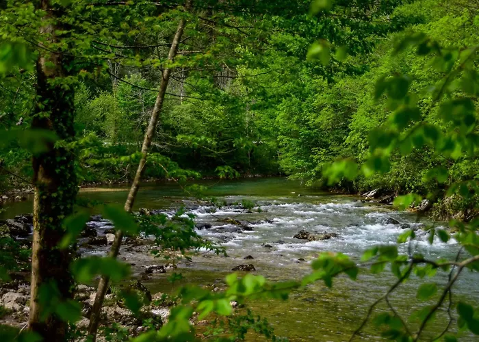 Makov Hrib By Interhome Trsce