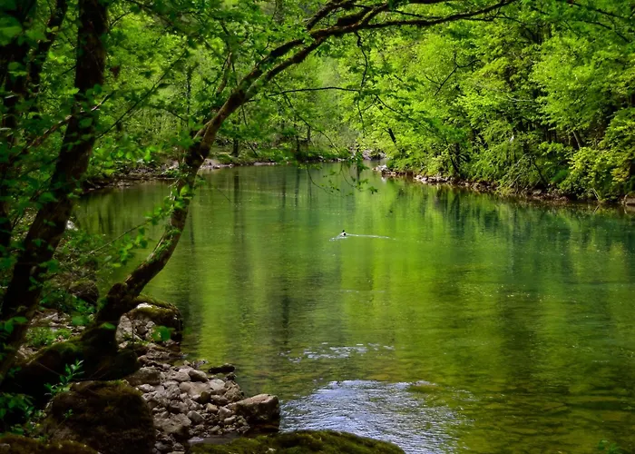 Makov Hrib By Interhome