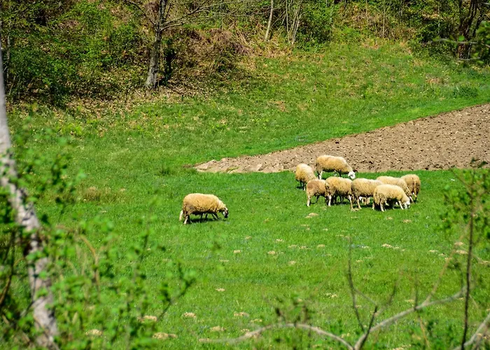 Chalet Makov Hrib By Interhome *