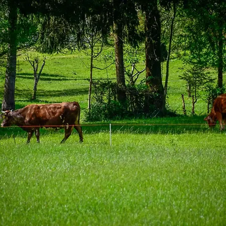 Makov Hrib By Interhome בקתה *