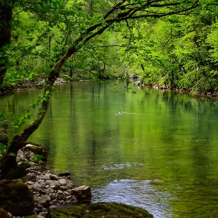 Makov Hrib By Interhome